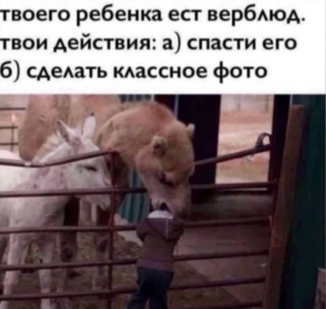 Всего понемногу. От 04.12.2024