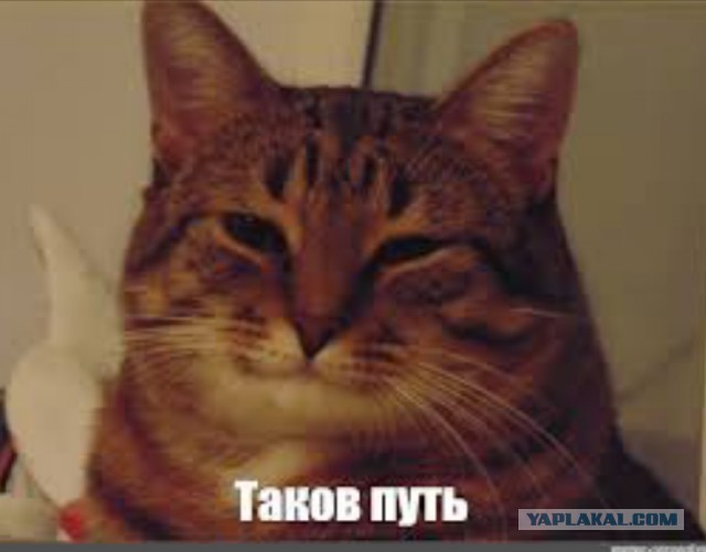 Под Курском погиб один из последних представителей коренного народа России — кереков.