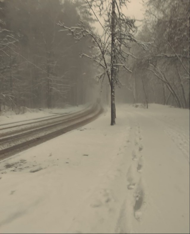 Зима вернулась в Сибирь