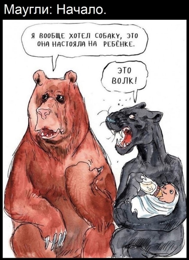 Так себе картинки 07.05.25