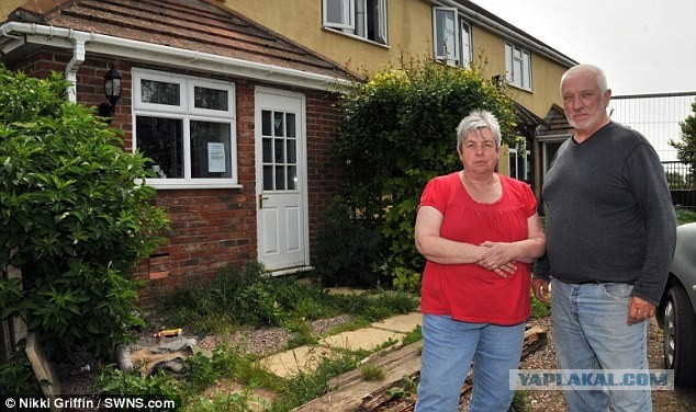 Сдали дом на свою голову