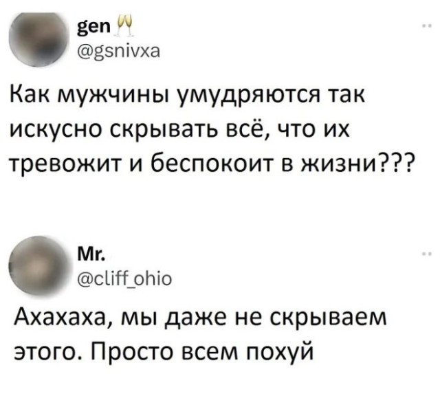 Веселые картинки в пятницу (06.06)