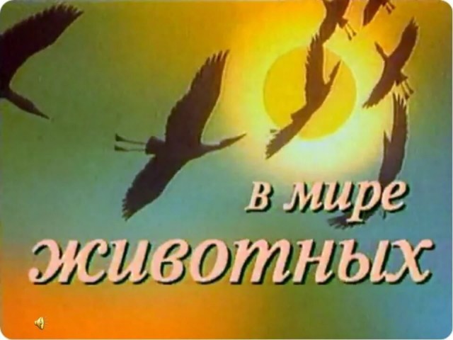 Сегодня День Рождения одного из самых лучших телеведущих (88 лет) - Николая Николаевича Дроздова