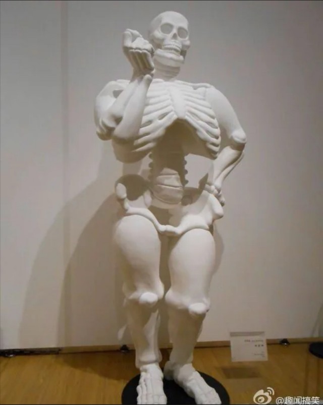 Восемь сотрудников авиакомпании понадобилось, чтобы помочь американской бодипозитив-активистке подняться на борт самолёта