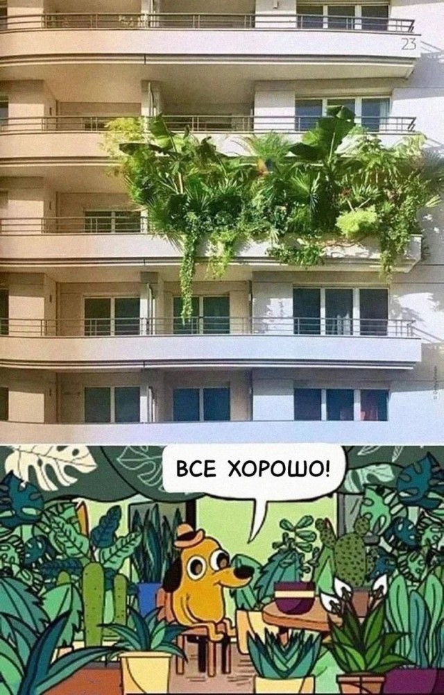 Так себе картинки 11.07.25