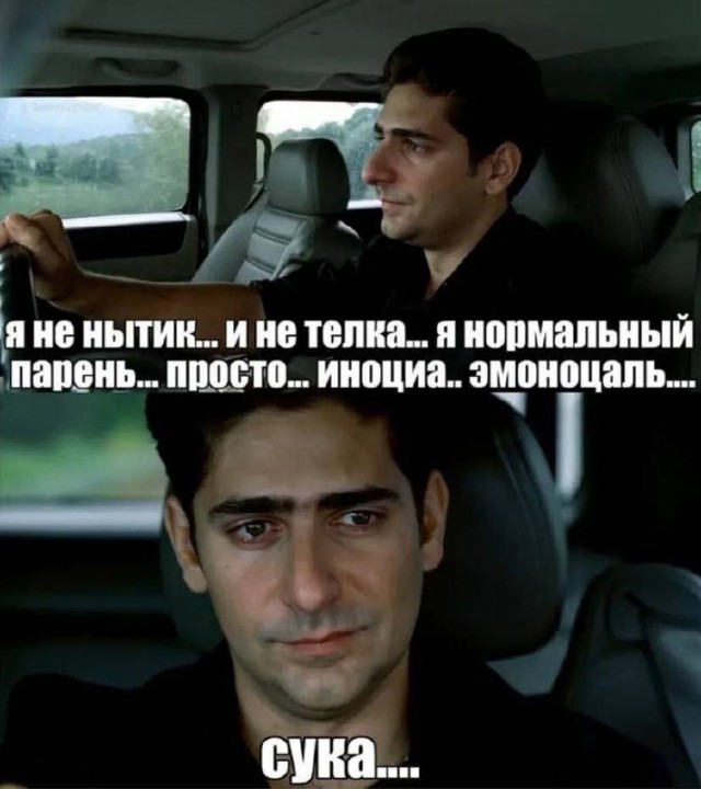 Весёлый полтишок 22.07.25