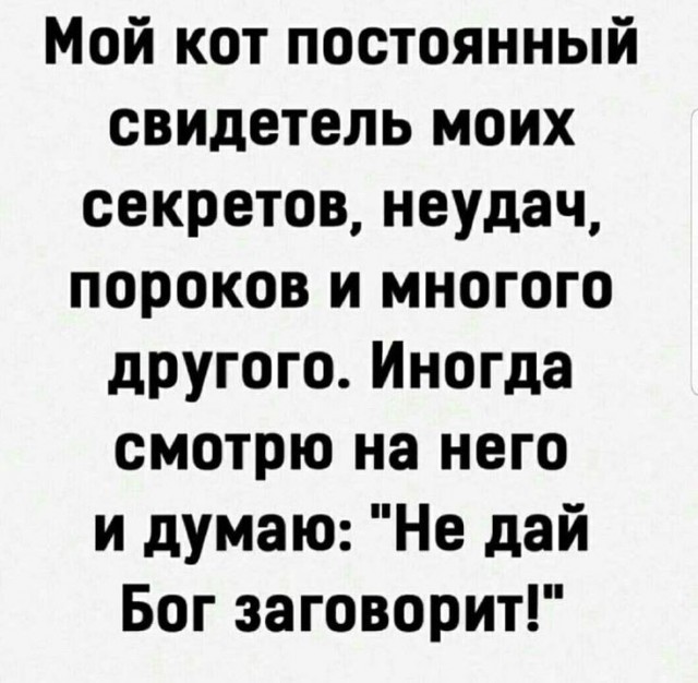 Всякая всячина