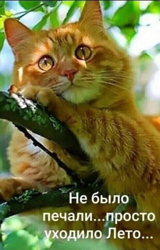 Так себе картинки 22.08.25