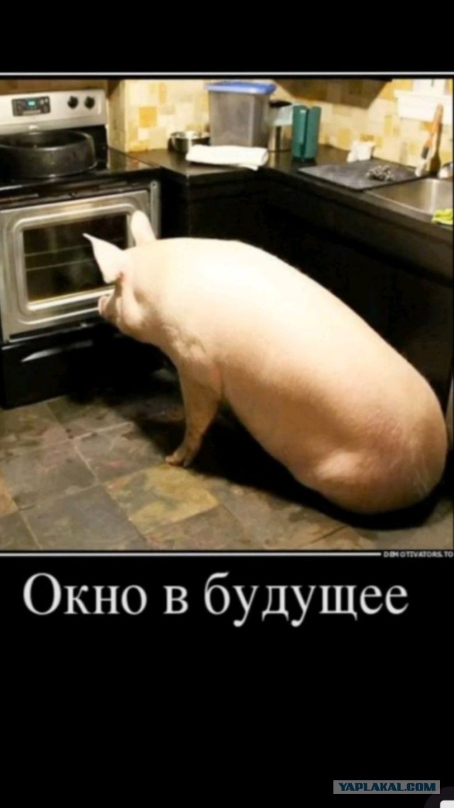 Врач-педиатр выпал из окна элитного ЖК, куда он ночью приехал на вызов к ребёнку