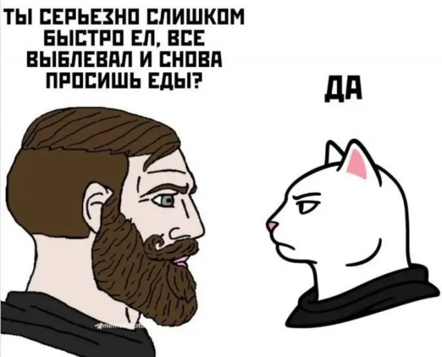 Шерстяные пидо.... братья наши меньшие