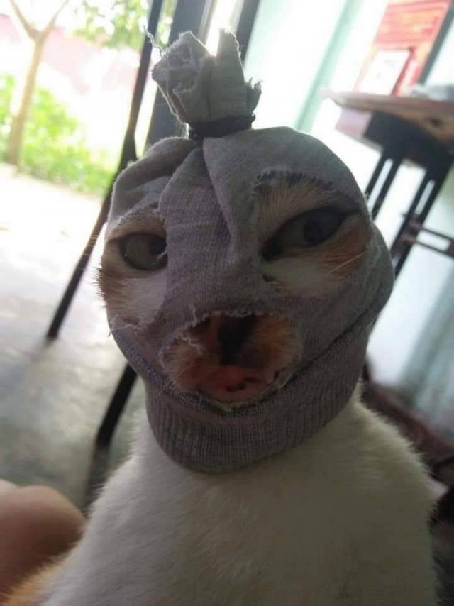 Картиночки на поднедельник