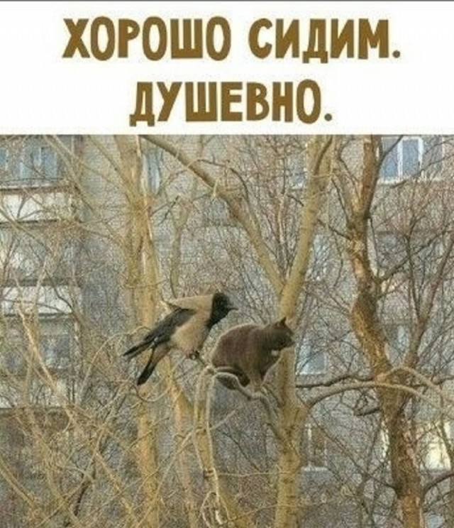 Так себе картинки 06.03.26