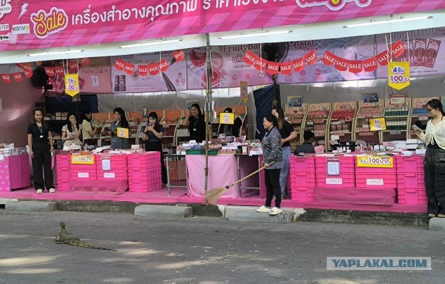 Комодский варан: Мегаящеры, способные завалить буйвола. Весь остров дрожит от их тирании