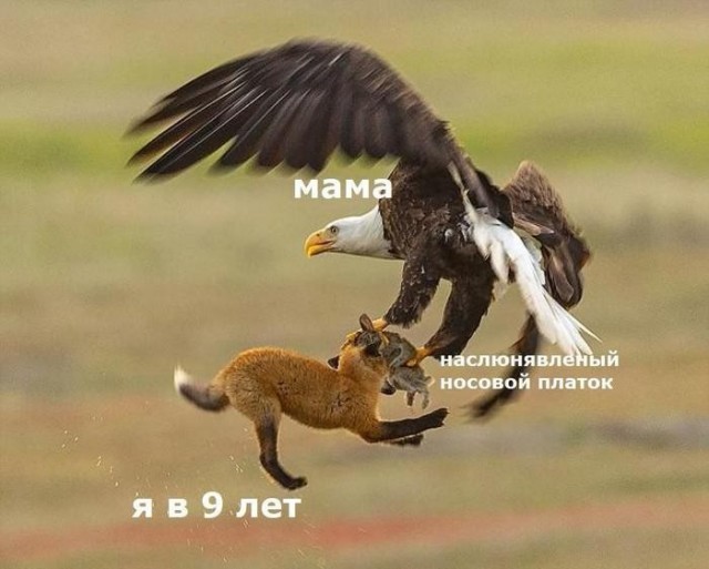 Картинки для деградации 188 (разной степени свежести)