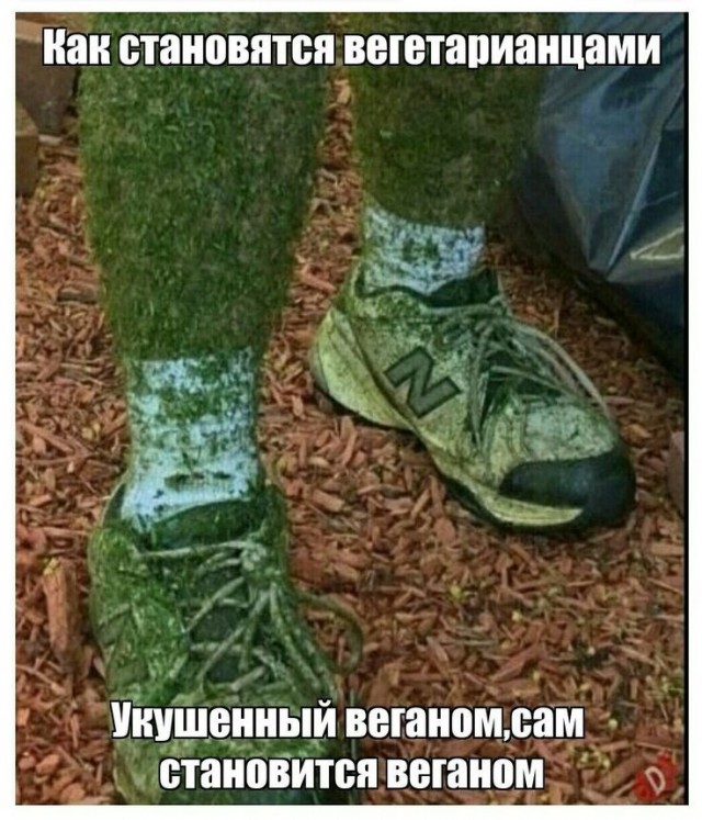 Среды картинки
