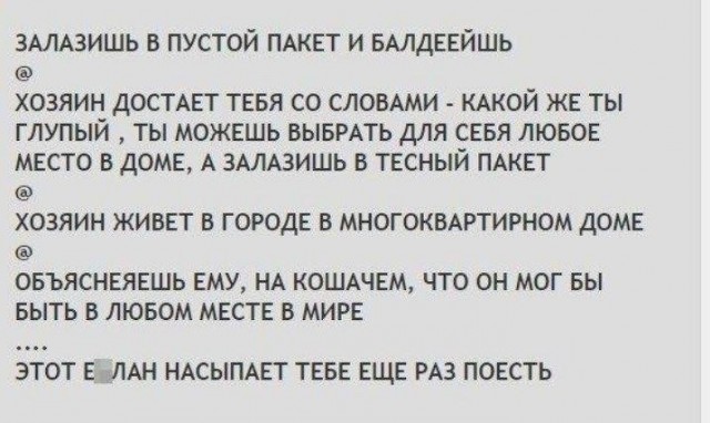 Картинки для деградации 220 (разной степени свежести)