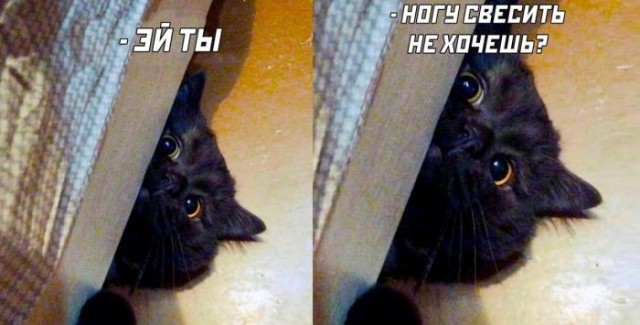 Картинки на 25.07