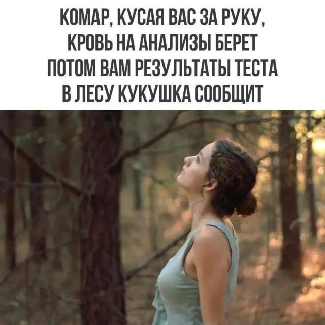 Картинки с надписями про авто