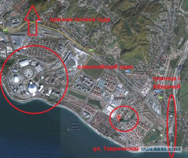 Олимпиада через задницу