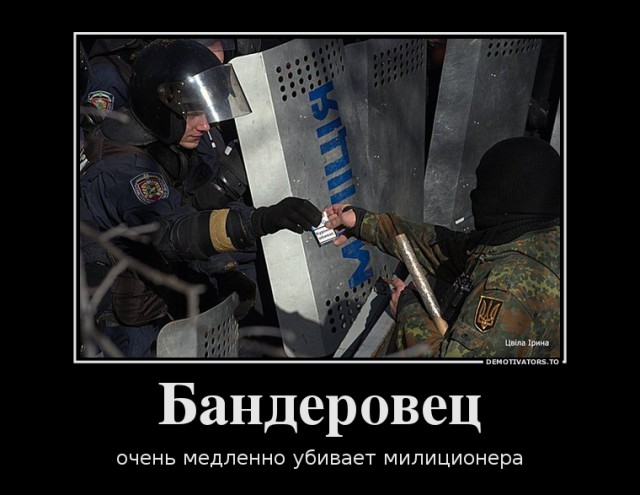 На Майдане посадили огород и строят свинарник.