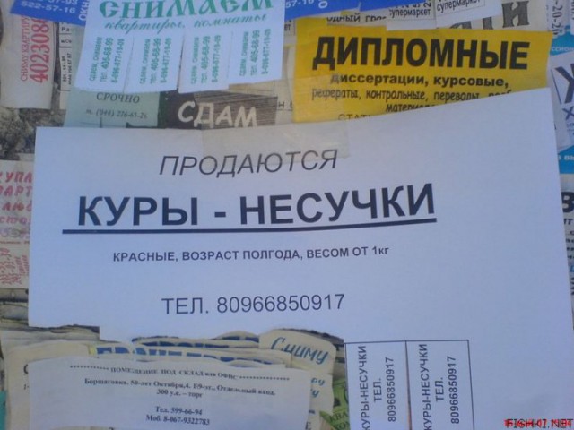 Картинки с просторов интернета