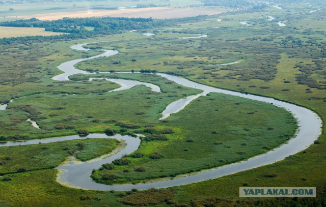 Завораживающая Беларусь из кабины патруля