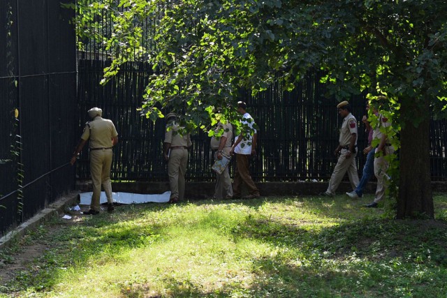 Белый тигр загрыз человека в зоопарке Индии