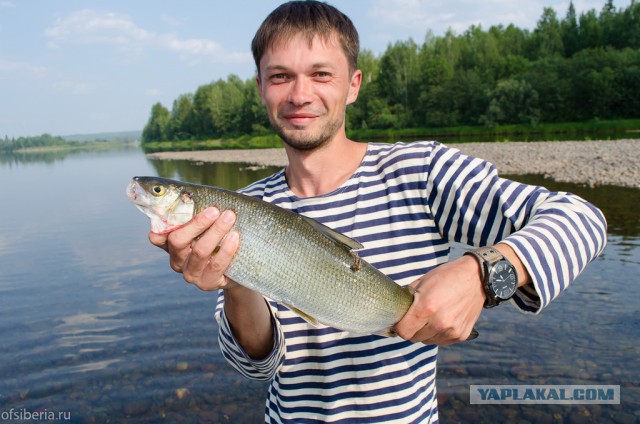 Десять дней без соц. сетей