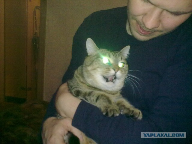 Убью гада, и ничего мне не будет