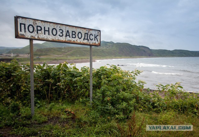 Маразмы месяца