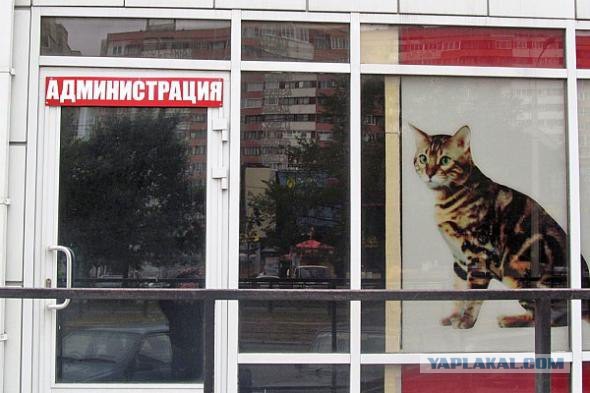 Созрел вопрос.