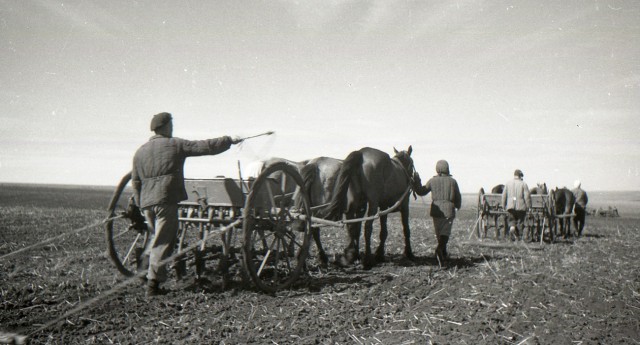 Наша история. Колхоз "Путь Ленина" 1946 год