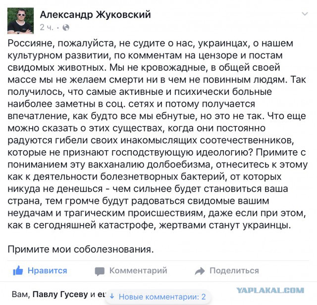 В Египте разбился российский пассажирский самолет, Airbus-321 "Когалымавиа"