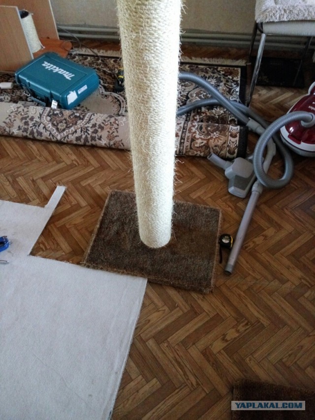 КОТЭдж
