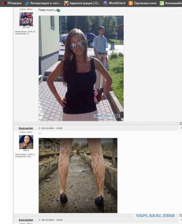 Ужасы и приколы из соцсетей 18+