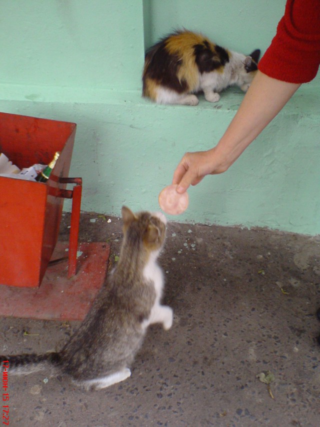 Все умрут, но некоторые не сегодня