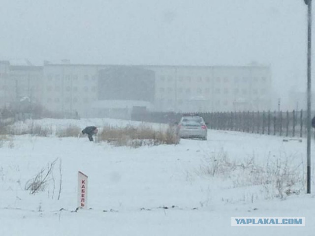 Забавный Казахстан.