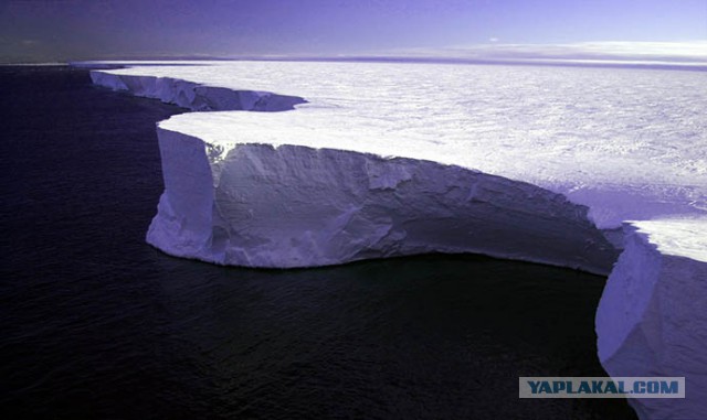 Вы воняете везде! Крик души