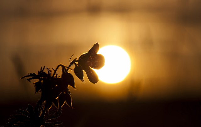 Подборка интересных и веселых картинок