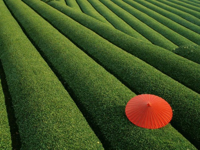 Wallpapers, ОБОИ НА РАБОЧИЙ СТОЛ