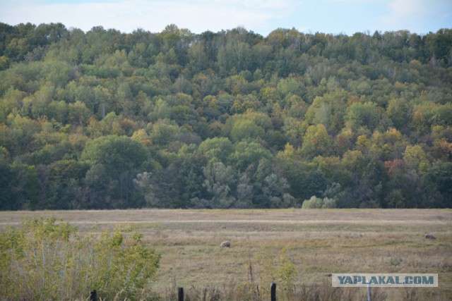 Дачные приколы