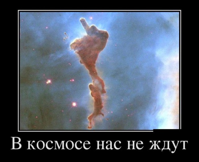 Картинки из интернетов