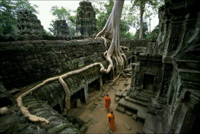 Моменты, запечатлённые на фото и просто позитив 5