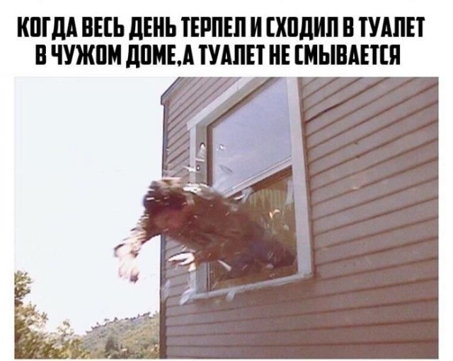Чёрный и абсурдный юмор к понедельнику