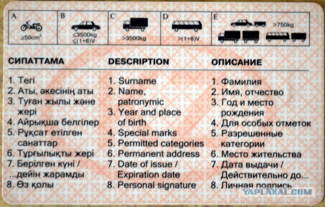 Госдума одобрила гражданам ср. Азии работать в РФ по нац.правам