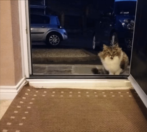 Вечерний гость попросился переночевать в доме… Парень даже не думал, к каким последствиям это приведет