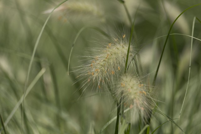 Просто Природа