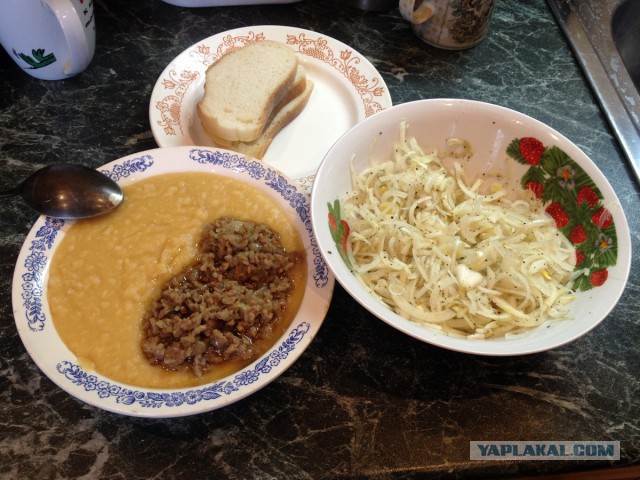 нищебродская кашка, музыкальная