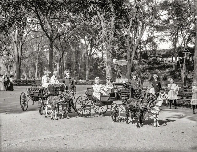 История в фотографиях