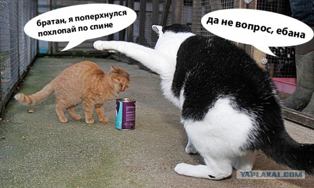 Монстр по кличке Иуда